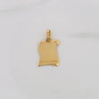 Dije Placa Pergamino 1.65g / 1 in Oro Amarillo 18K