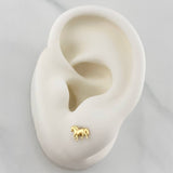 Topos Caballo 0.7 g / in / 4.4 mm Oro Amarillo 18K