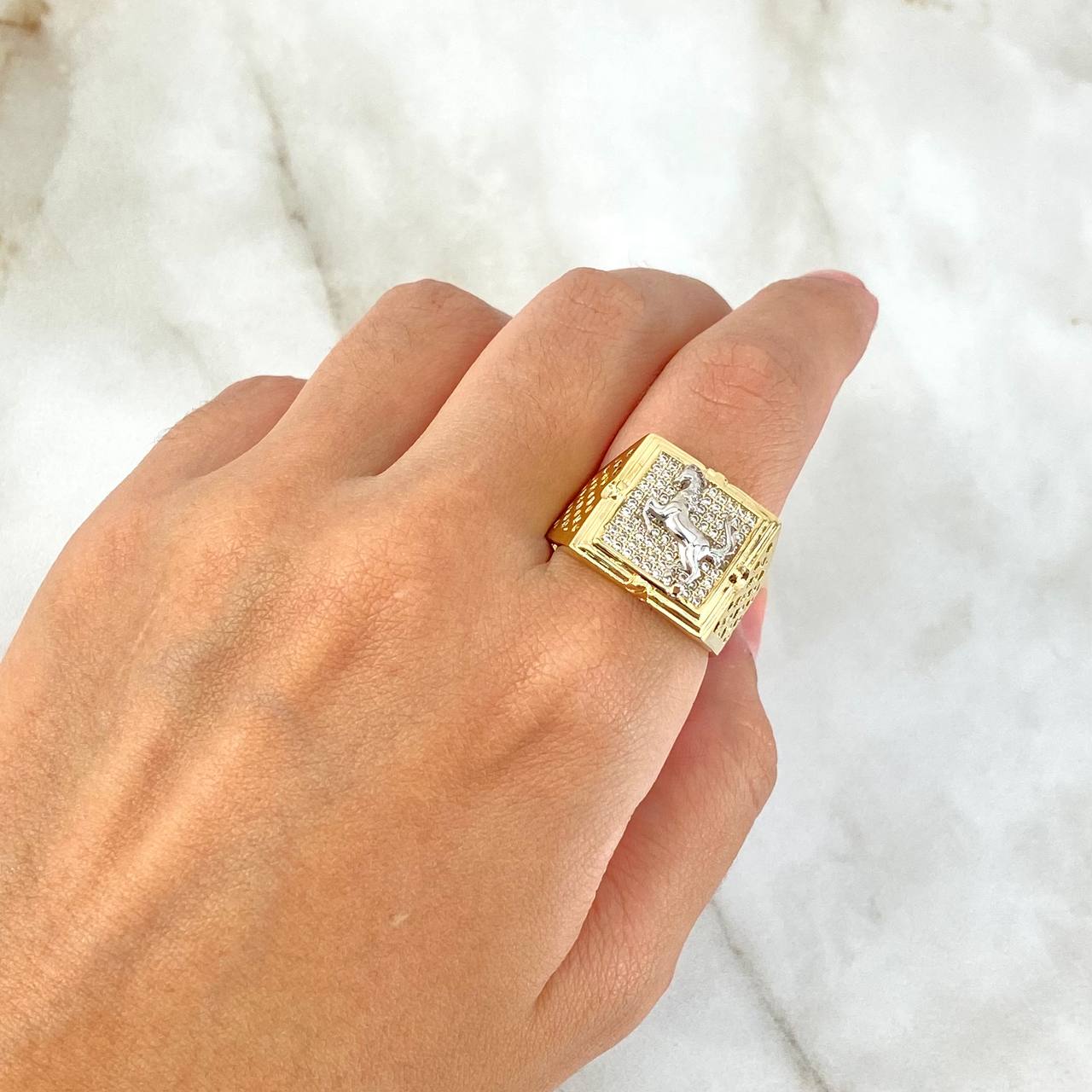 Anillo Cuadrado Caballo 9.25gr / T9 1/2 / Circones Blancos Dos Oros Amarillo Blanco ©