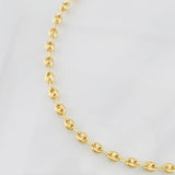 GC Anklet 3.4g / 10 1/4 in / 4.27mm Yellow Gold 18K
