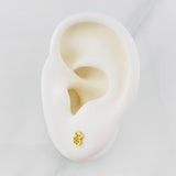 Stud Earrings Bear Ts 0.65g / in / 5mm Yellow Gold 18K