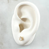 Topos Piedra Seis Garras 1.1gr / 5.4mm Circon Blanco Oro Amarillo 18K (Joya)