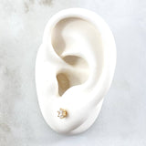 Stud Earrings Stone Six Claws 0.8gr / 4.3mm White Zircon 18K Yellow Gold (Jewel) *