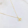 Set Cadena y Dije Veneciana + Tortuga 1.25gr / 17 3/4 in / Oro Amarillo 18K ©