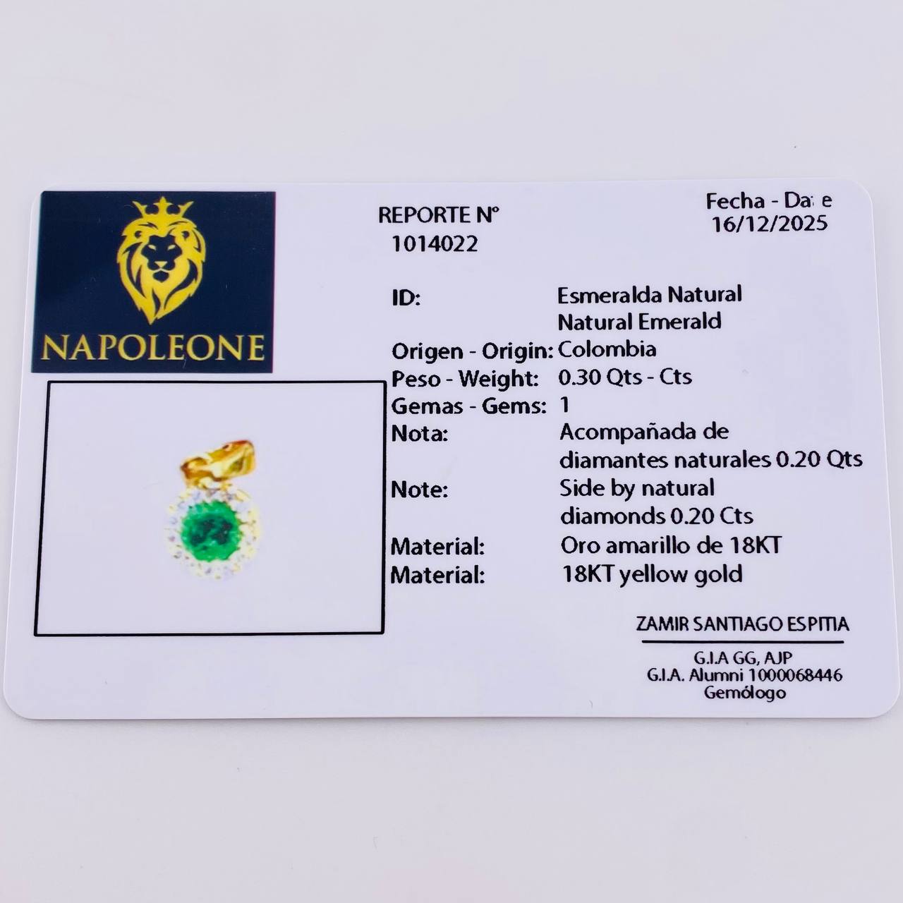 Dije Circulo Halo Tupido 30pts Esmeralda 20pts Diamantes 1.3gr / 1/2 in / Oro Amarillo 18K ©