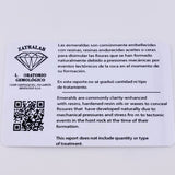 Dije Circulo Halo Tupido 30pts Esmeralda 20pts Diamantes 1.3gr / 1/2 in / Oro Amarillo 18K ©