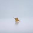 Cardinal Star Piercing 0.3gr / 0.5in / 18K Gold $