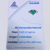 Herraje Corazon Cuatro Garras 60pts Esmeralda 0.6gr / 1/2 in / Oro Amarillo 18K