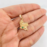 Pendant Map of Colombia 2.15g / 3/4 in Yellow Gold 18K