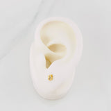 Stud Earrings Bear Ts 0.55g / in / 4mm Yellow Gold 18K