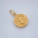 Dije San Benito 0.55gr / 3/4 in / Oro Amarillo 18K %