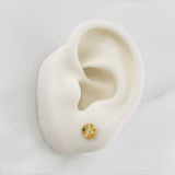 Topos Pez 0.75g / in / 6.19mm Oro Amarillo 18K