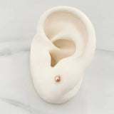 Topos Media Bola 0.5g / in / 3mm Oro Rosa 18K