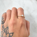 Anillo Solitario Cetro Tupido 1.65gr / T6 3/4 / Oro 18K ©
