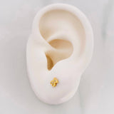 Bear Ts Stud Earrings 0.75g / in / 2.95mm Yellow Gold 18K