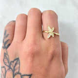 Anillo Libelula 1.65gr / T6 1/2 / Oro Amarillo 18K