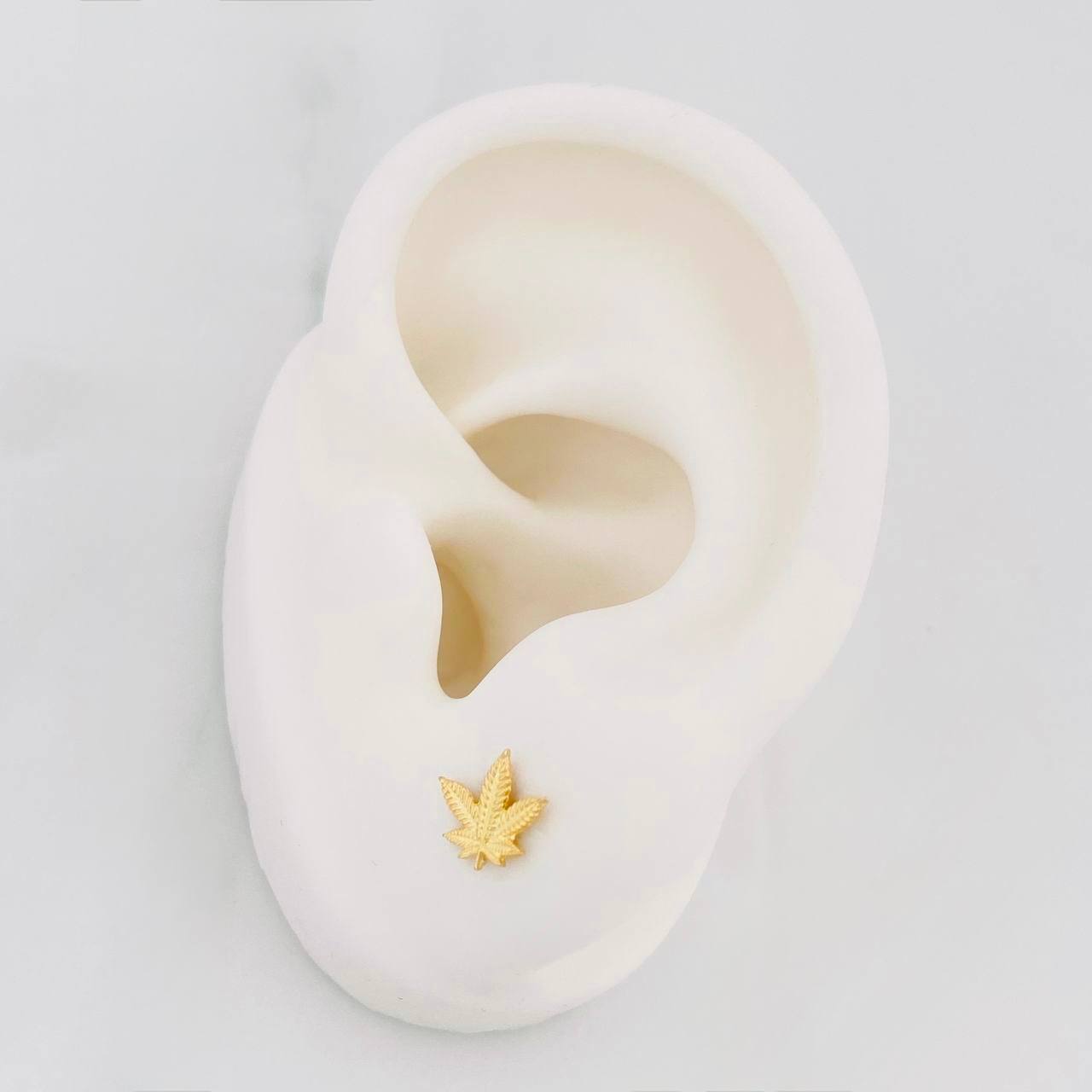 Stud Earrings Leaves Dotted 0.8g / in / 7.6mm Yellow Gold 18K