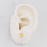 Stud Earrings Leaves Dotted 0.8g / in / 7.6mm Yellow Gold 18K