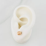 Topos Bola Diamantada 0.65g / in / 6mm Oro Rosa 18K