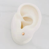 Topos Bola Lisa 0.45g / in / 4mm Oro Rosa 18K