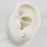 Topos Bola Lisa 0.5 g / in / 3 mm Oro Amarillo 18K