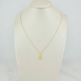 Set Cadena y Dije Veneciana + Virgen Milagrosa 1.3gr / 15 3/4 in / 0.53mm Oro Amarillo 18K &