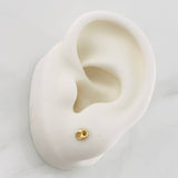 Topos GC 0.55g / in / 3.55mm Oro Amarillo 18K