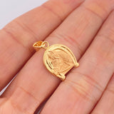 Dije Herradura Caballo 1.1gr / 1 in / Dos Oros Amarillo Rosa 18K $