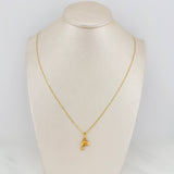 Set Cadena Escalera Plana + Dije Delfin / 2.15gr / 19 3/4 in Tres Oros 18K