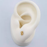Stud Earrings TS 0.65gr / Yellow Gold 18K &