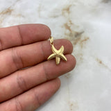 Dije Estrella De Mar 0.95gr / 2.4cm Troquelado Oro Amarillo