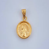 Dije Jesus de la Misericordia 0.65gr / 3/4 in / Oro Amarillo 18K %